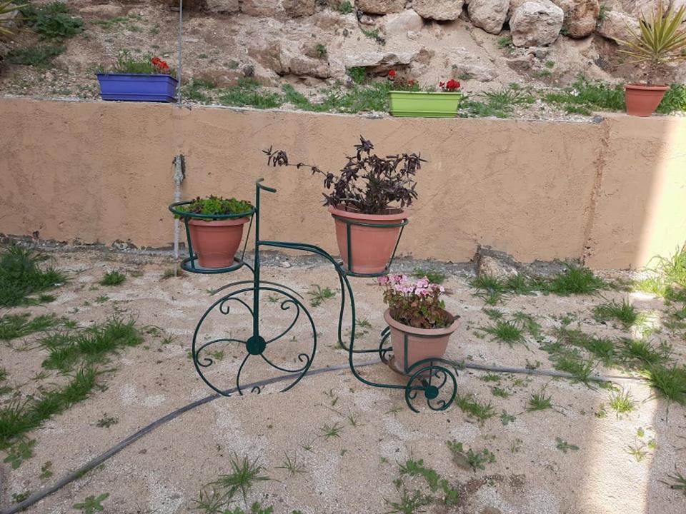 Emile Altwal Madaba Appartamento Esterno foto