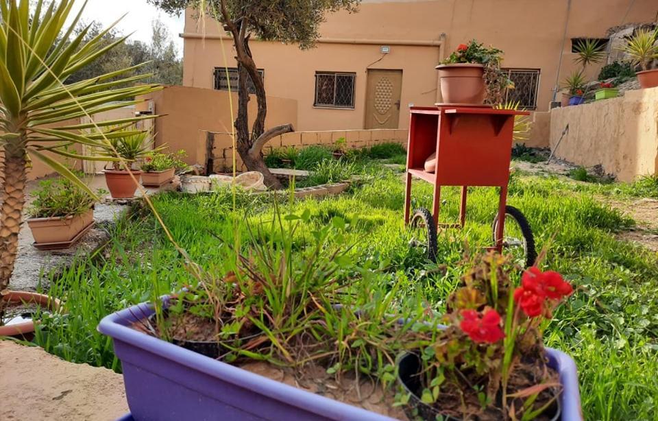 Emile Altwal Madaba Appartamento Esterno foto